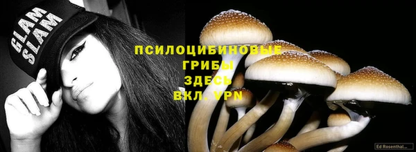 ALPHA PVP Нязепетровск