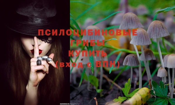 ешки Осташков