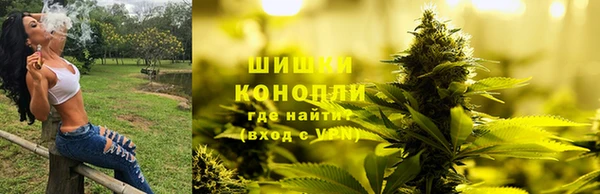 мдпв Нягань