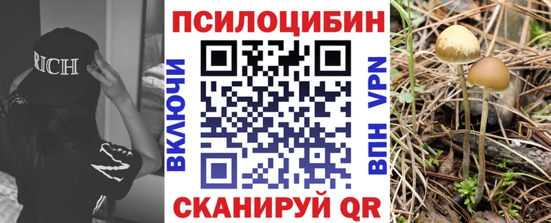 Псилоцибиновые грибы Magic Shrooms как найти закладки Западная Двина